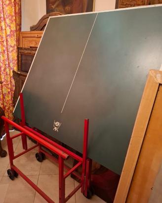 Tavolo da ping pong