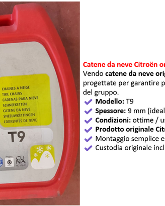 Catene da neve Citroën originali T9 – 9 mm
