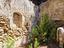 Immagine 11