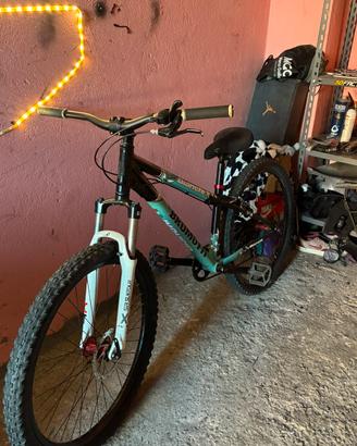 bici dart brumotti x biachi