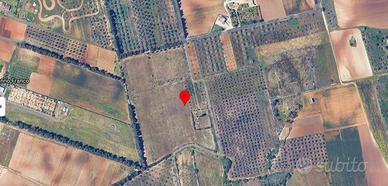 Terreno Agricolo Otranto [Cod. rif 3304703VRG]