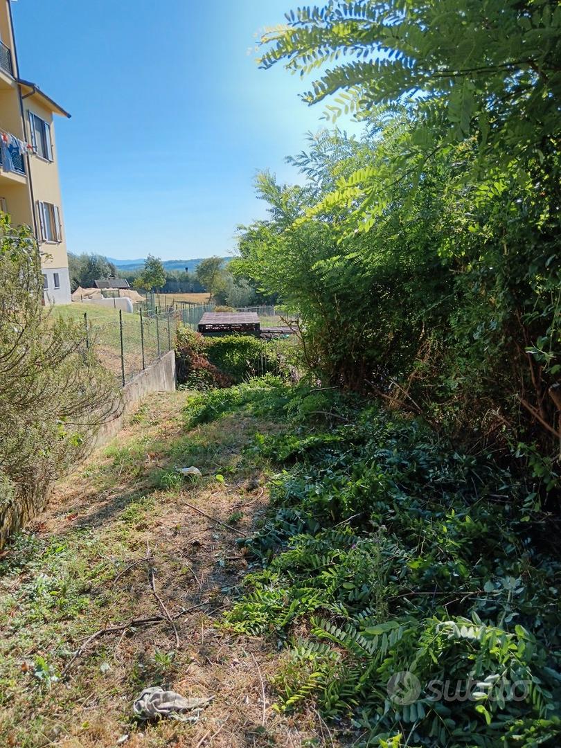 Terreno edificabile Amelia Fornole - Vista 4