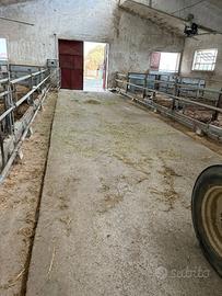 Alimentazione automatica