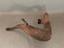 Immagine 22