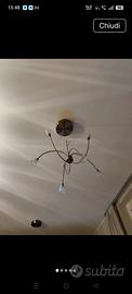 lampada 