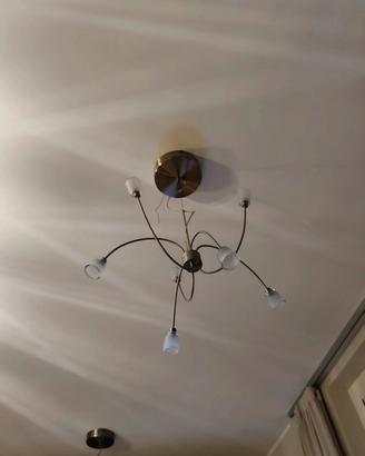 lampada 