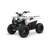 Quad 125cc 4T con Retromarcia