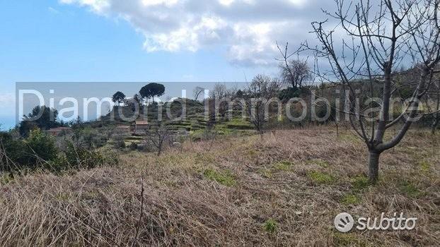 Terreno 7.900 mq tra san giovanni e puntalazzo - Vista 4