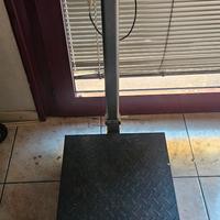 Bilancia  professionale 