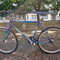 Bici Mountain Bike ATALA