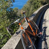 Bici da corsa Pinarello vintage