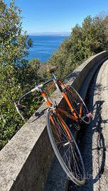 Bici da corsa Pinarello vintage