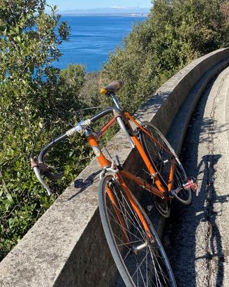 Bici da corsa Pinarello vintage