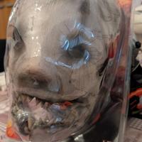 maschera Trapper DBD