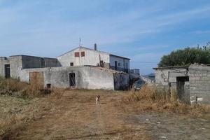 Azienda agricola con casa