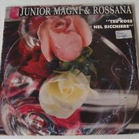 Disco 33 giri. junior magni & rossana