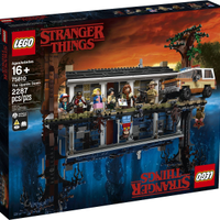 Manuale Istruzioni LEGO Stranger Things 75810