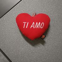 cuore  Ti amo san Valentino peluche 