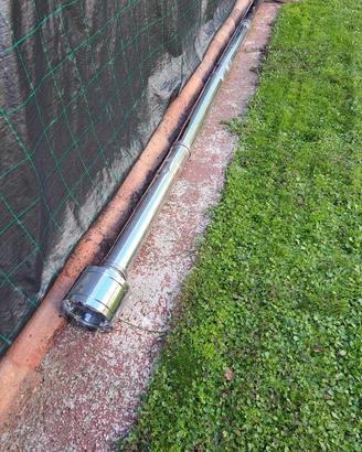 canna fumaria 