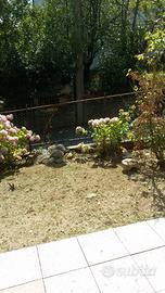 Bilocale a viola cuneo