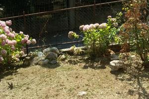 Bilocale a viola cuneo