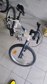 Bici ragazzo 20 pollici