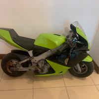 Mini moto polini