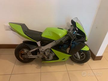 Mini moto polini