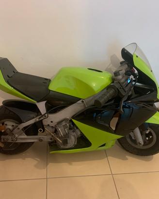 Mini moto polini