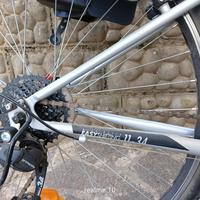 bicicletta donna 