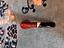 Immagine 2