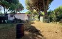 tarquinia-san-giorgio-casa-con-800-mq-di-terreno
