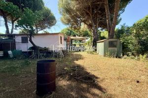 Tarquinia San Giorgio: casa con 800 mq di terreno