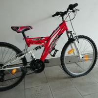 Bicicletta Mtb ragazzo.