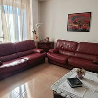 Divani in pelle