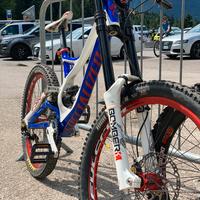 Specialized Demo 8
