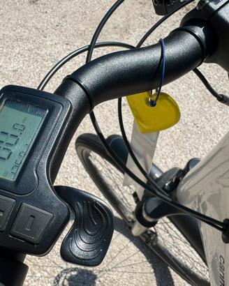 Cannondale