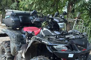 Quad Suzuki kingquad 750