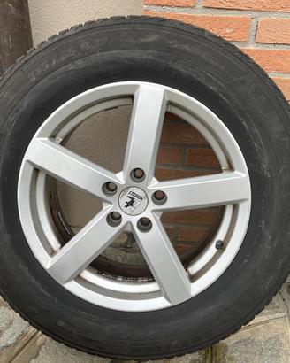 Pneumatici invernali michelin alpine