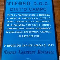 Napolimania