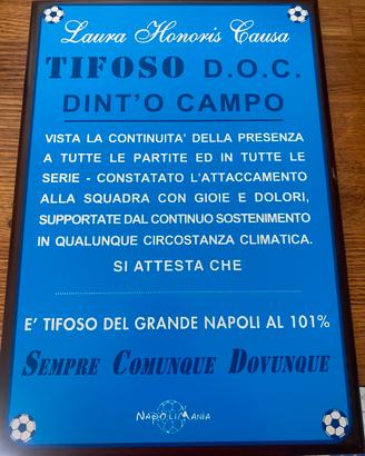 Napolimania