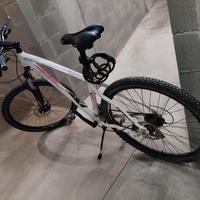 MOUNTAIN BIKE BUONISSIMO STATO