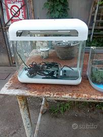 Acquario lotto acquariofilia