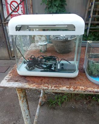 Acquario lotto acquariofilia