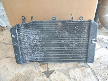 radiatore z1000 Kawasaki 03-06