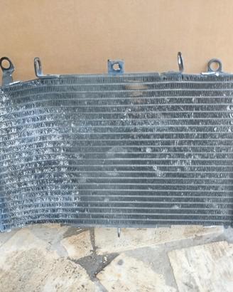 radiatore z1000 Kawasaki 03-06