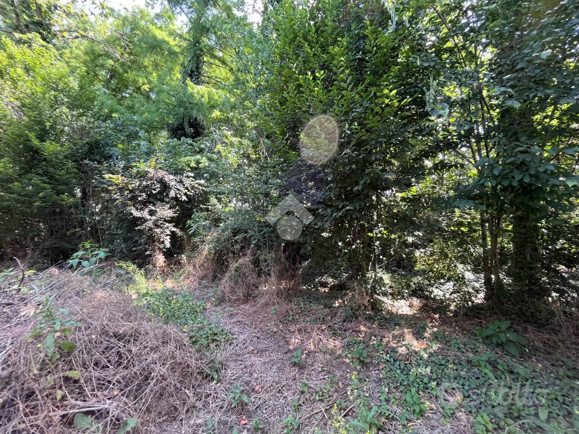 TER. AGRICOLO A SAN DANIELE PO - Vista 3
