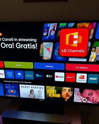 LG C4 65 pollici oled come nuovo