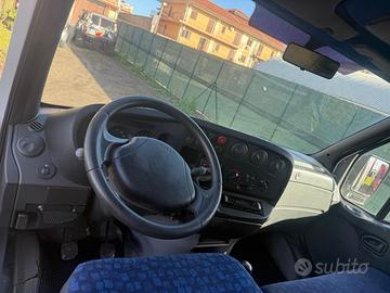 Iveco Daily 35/29 Iso termico Finanziabile