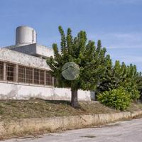MULTILOCALE A ROSETO DEGLI ABRUZZI